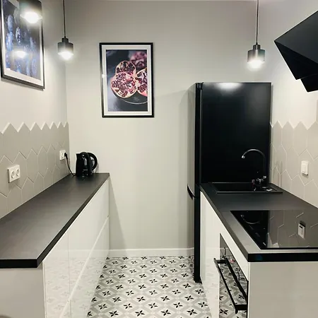 Apartment Luksusowy Z Parkingiem I Klimatyzacja W Samym Centrum Wroclawia